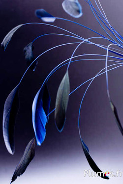 Coquetip - 20-25 cm - blu-nero